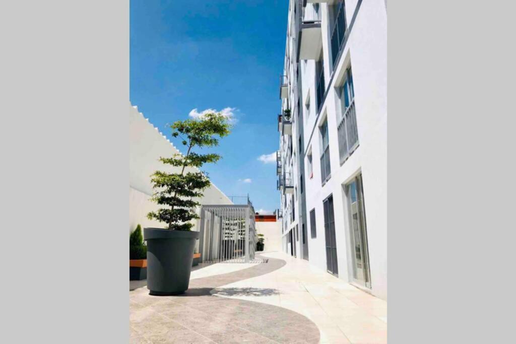Departamento *Mundo Viajero* Guadalajara Apartment ภายนอก รูปภาพ